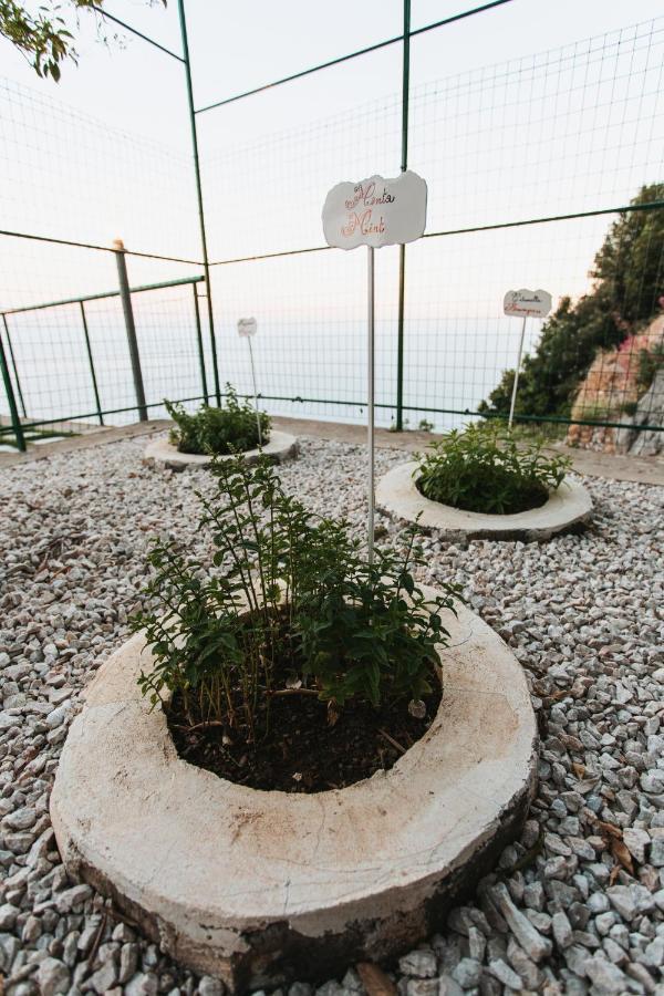 Apartments Paradise Garden Holiday House Agerola Zewnętrze zdjęcie
